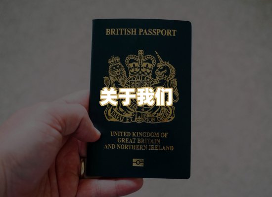 关于我们